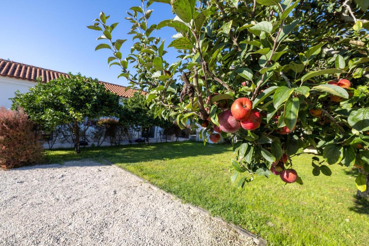 Casa Da Lagoa E Forja - Turismo Rural Mira  Exterior photo